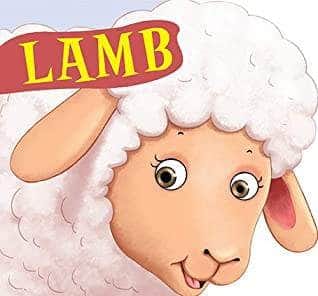 Lamb: Cutout Board Book
