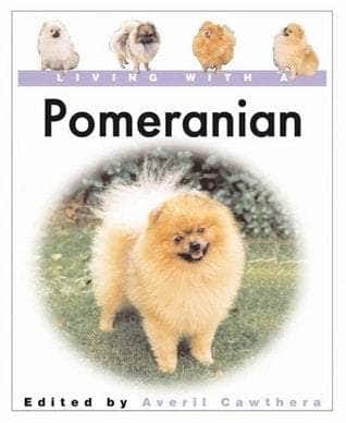 Living with a Pomeranian