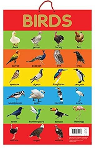 Birds - Early Learning Educational Posters For Children: Perfect For Kindergarten, Nursery And Homeschooling (19 Inches X 29 Inches)